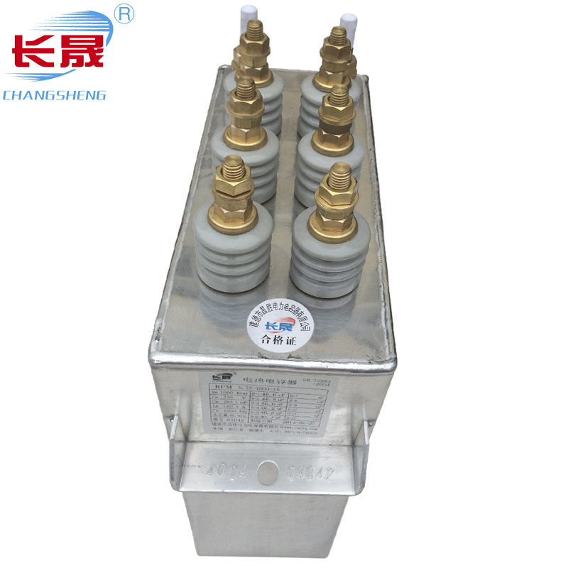 電熱電容器RFM0.5-1000-1S